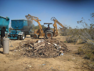 Cleaning an Illegal Dump Site